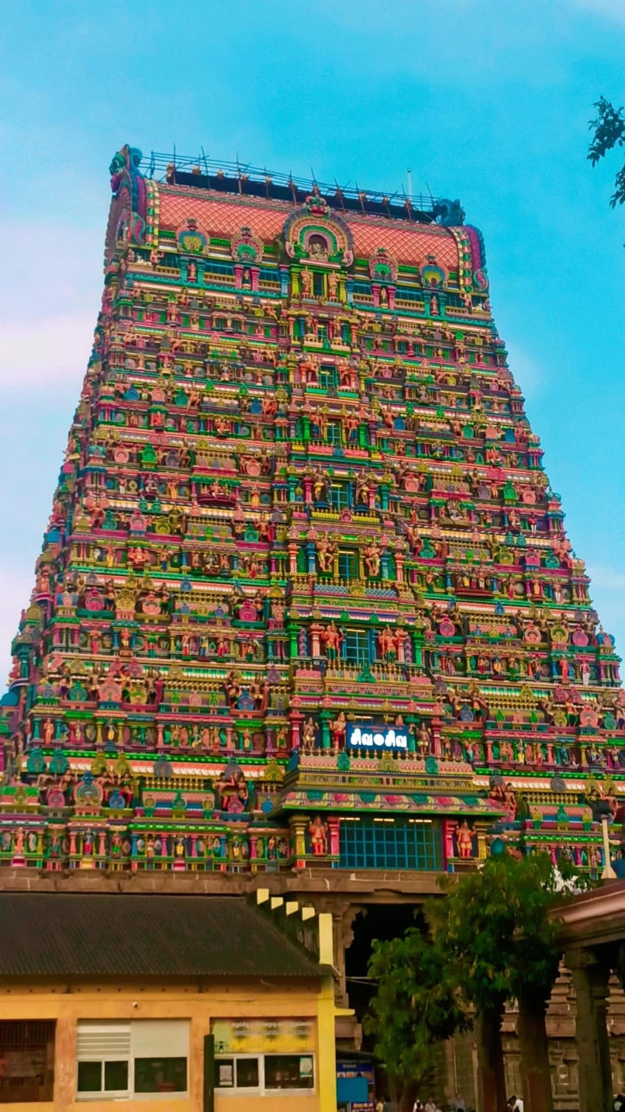 Bharatanatyam dance performance or class at Shivam Narthanalayam - Photo 6